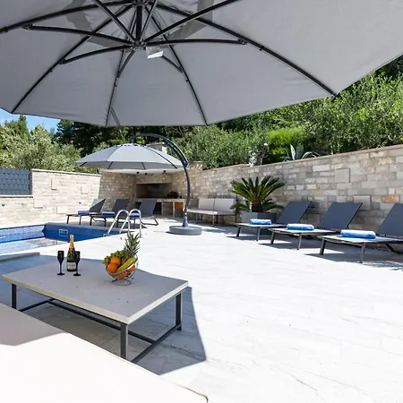 Olive Tree Luxury